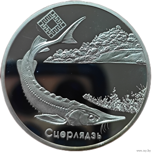 20 рублей. Сцерлядзь. 2007 года. Пруф.