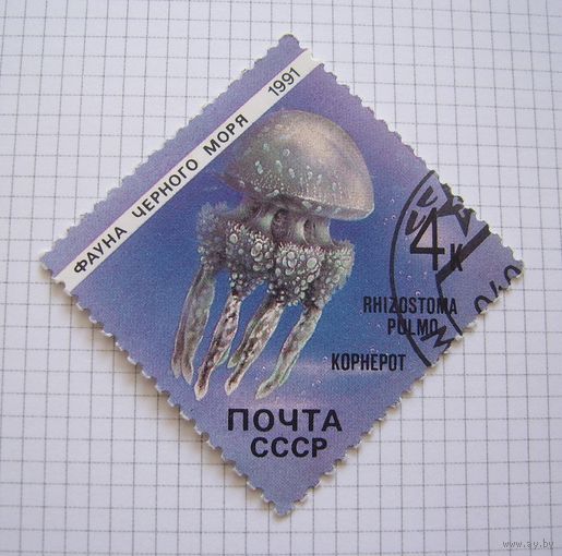 СССP 1991г.