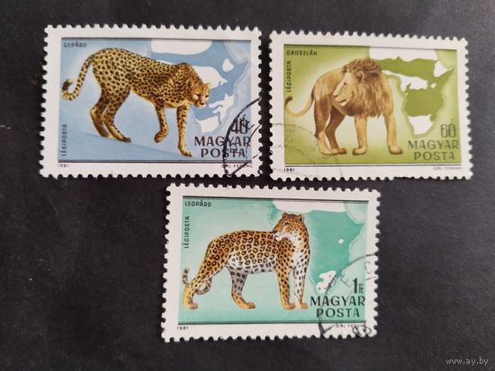 Венгрия  1981  дик.животные  3 м