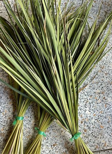 Зубровка (сухая)