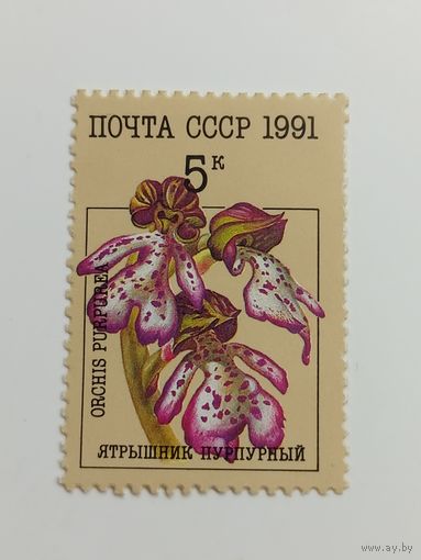 1991 СССР. Орхидеи. Ятрышник пурпурный