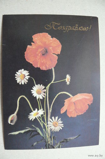Киндрова Д., Поздравляю! 1989, подписана.