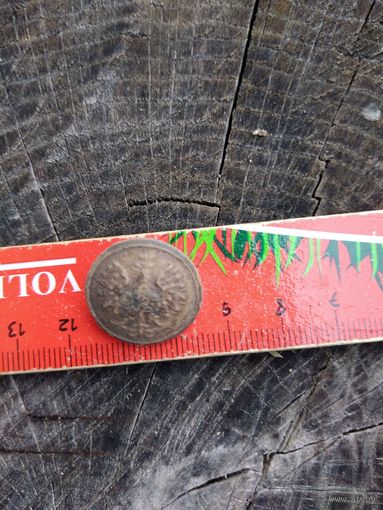 Орлик. Польша (11). Находка