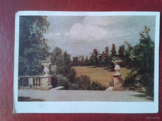 Открытка СССР 1955г. Павловск