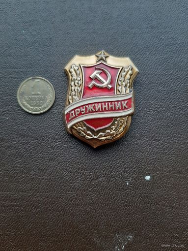 Значок легкий Дружинник