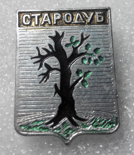 Значок. Герб города. Стародуб #0470