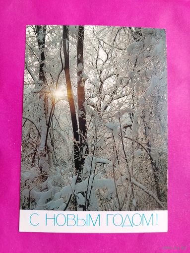 С новым годом! Чистая. 1987 года. Фото Жаворонкова. 2594.