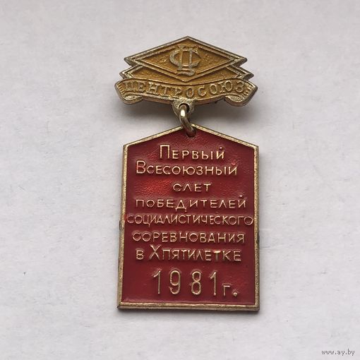 Первый Всесоюзной слет победителей соцсоревнования в Х пятилетке 1981