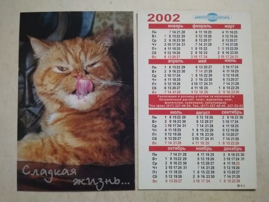 Карманный календарик. Котик. Мингорсоюзпечать. 2002 год