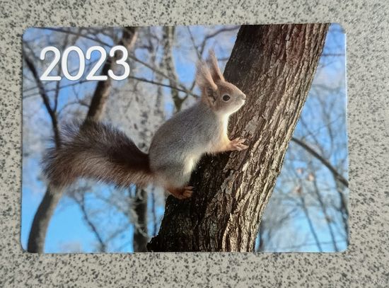 Календарик карманный 2023 белка Фауна