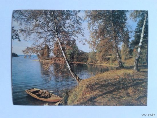 В.Митин 1989г.