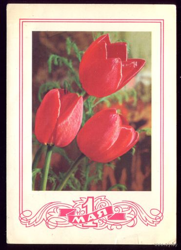 1975 год Г.Костенко 1 мая