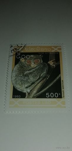 Лаос 1993. Млекопитающие
