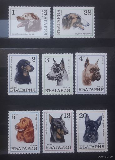 Болгария 1970 Серия: Породы собак. 8м.**