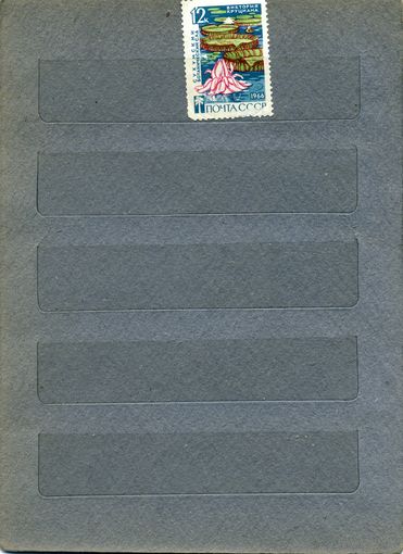 СССР, 1966, СУХУМСКИЙ БОТ САД,  1м