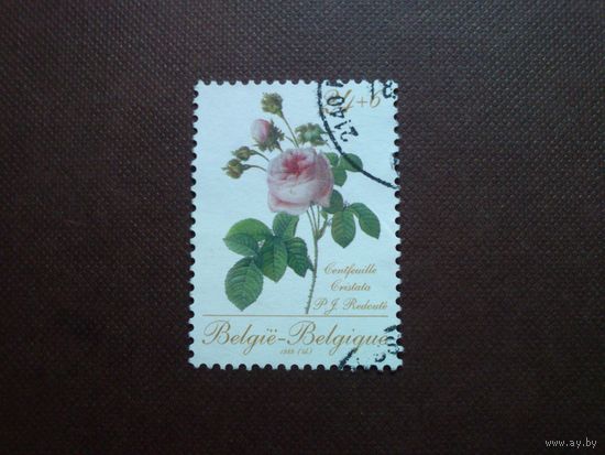 Бельгия 1988 г.Серия: Содействие филателии.
