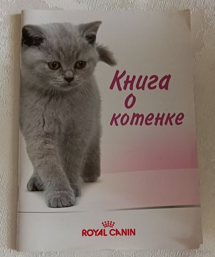 Книга о котенке (практическое руководство)