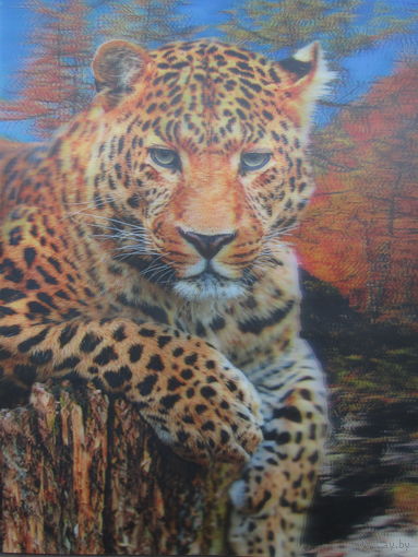 Переливашка,стерио ,картина 3,Д ,2000 год .