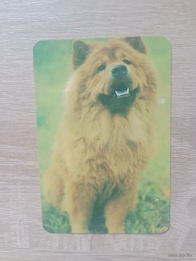 Календарик 1991