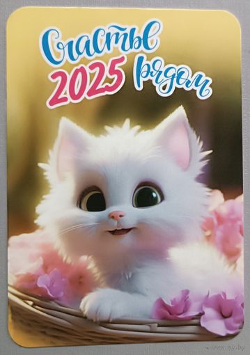 Котенок. Календарик, глянец, 2025