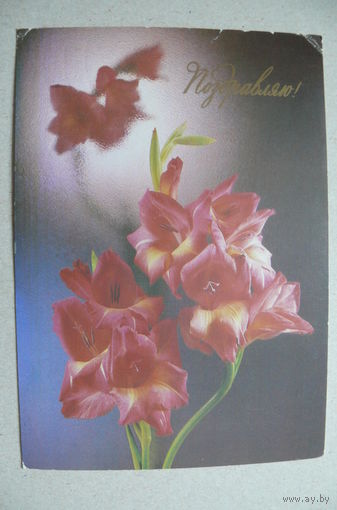 Киндрова Д., Поздравляю! 1987, подписана.