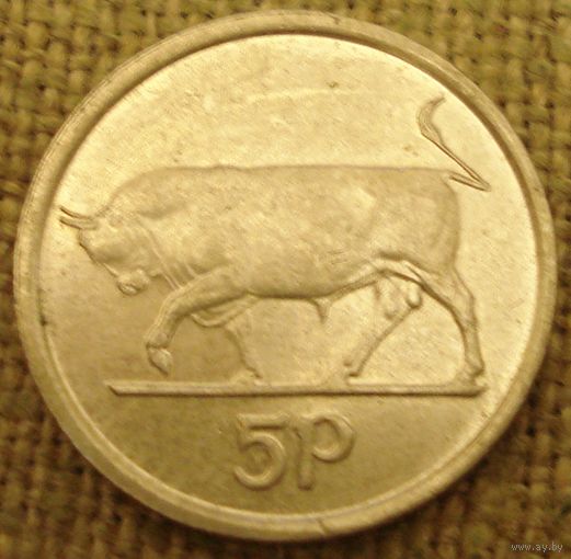 5 пенсов 2000 Ирландия