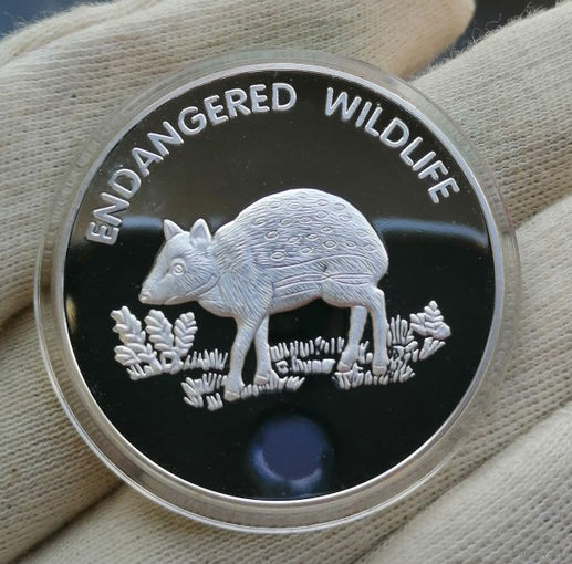 Малави 10 квача 2005 Посеребрение