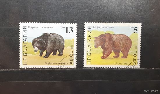 Болгария. 1988 год. Фауна. Медведи (862)