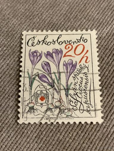 Чехословакия 1975. Цветы. Марка из серии
