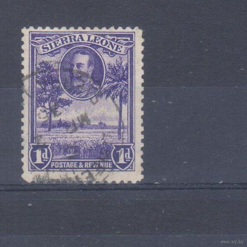 [543] Британские колонии. Сьерра Леоне 1932. Георг V.Ландшафт.1d. Гашеная марка.