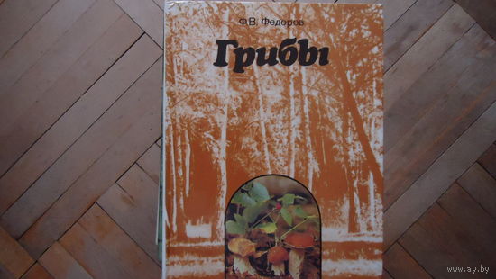 ГРИБЫ