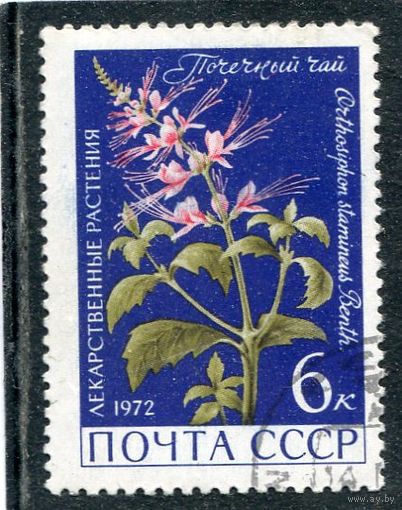 СССР 1972.. Флора. Почечный чай