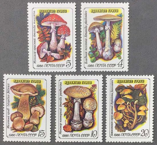 Марки СССР 1986г Ядовитые грибы (5655-5659)