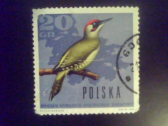 Марки.Европа.Польша 1964.