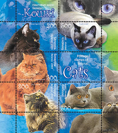 Блок " Кошки" No по кат. РБ 585-58