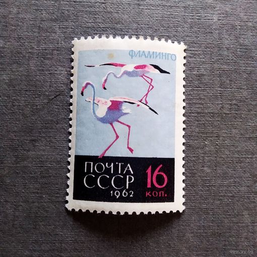 Марка СССР 1962 год Птицы