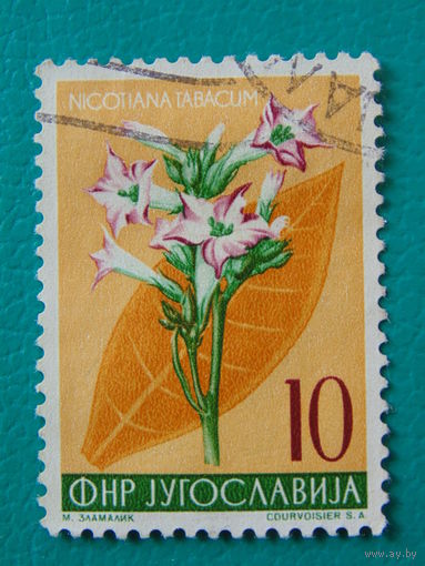 Югославия. Флора.