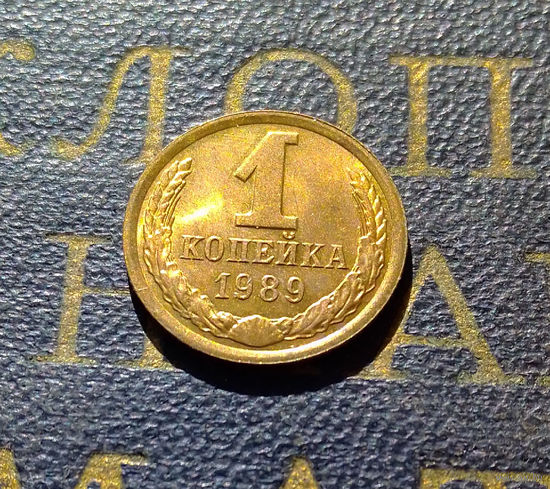 1 копейка 1989 СССР #20