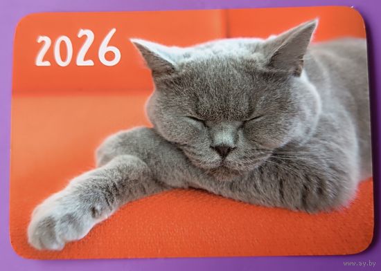 Кот. Календарик, глянец, 2026.ТРАСКО