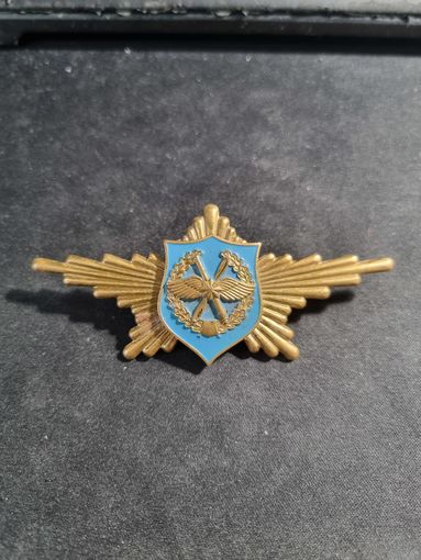 Знак нагрудный