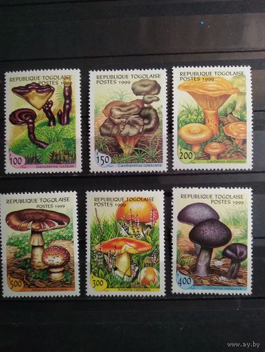 Того 1999 г. Грибы.