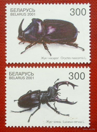 Беларусь. Жуки. ( 2 марки ) 2001 года. 5-17.