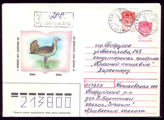 Дрофа Бобруйск 200
