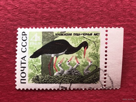 СССР 1969 год. Беловежская пуща
