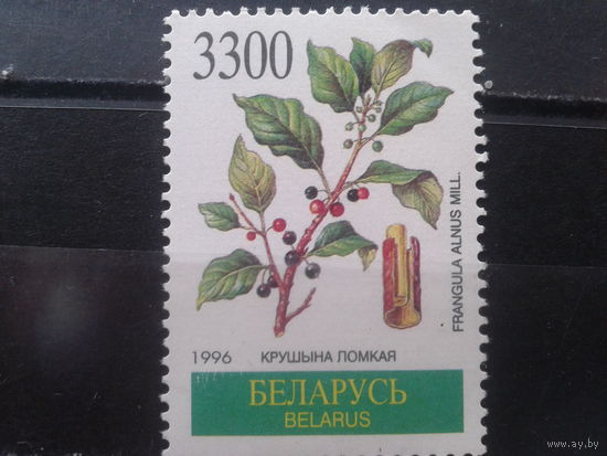 Беларусь, 1996. Крушина ломкая**