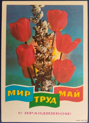 С праздником! Мир,труд,май. Чистая. Худ.Г.Ренков. 1977 г.
