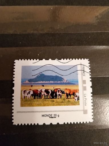 Франция фауна (2-10)