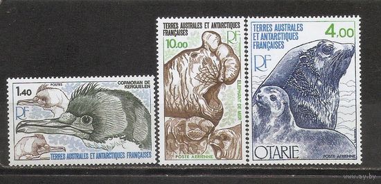 ФФ2 ТААФ 1979 Фауна