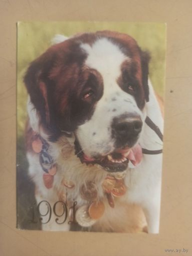 Календарь 1991 Сербернар