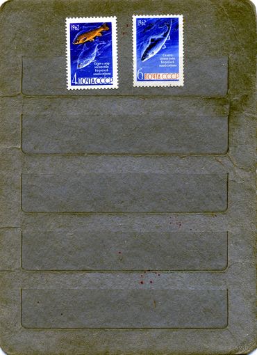 СССР, 1962, РЫБЫ  **, серия 2м,  Заг. 2645-46,   чистая